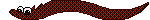 orange and black